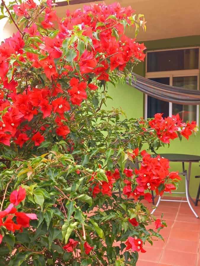 Serenity Lodges Dominica Marigot Exterior foto