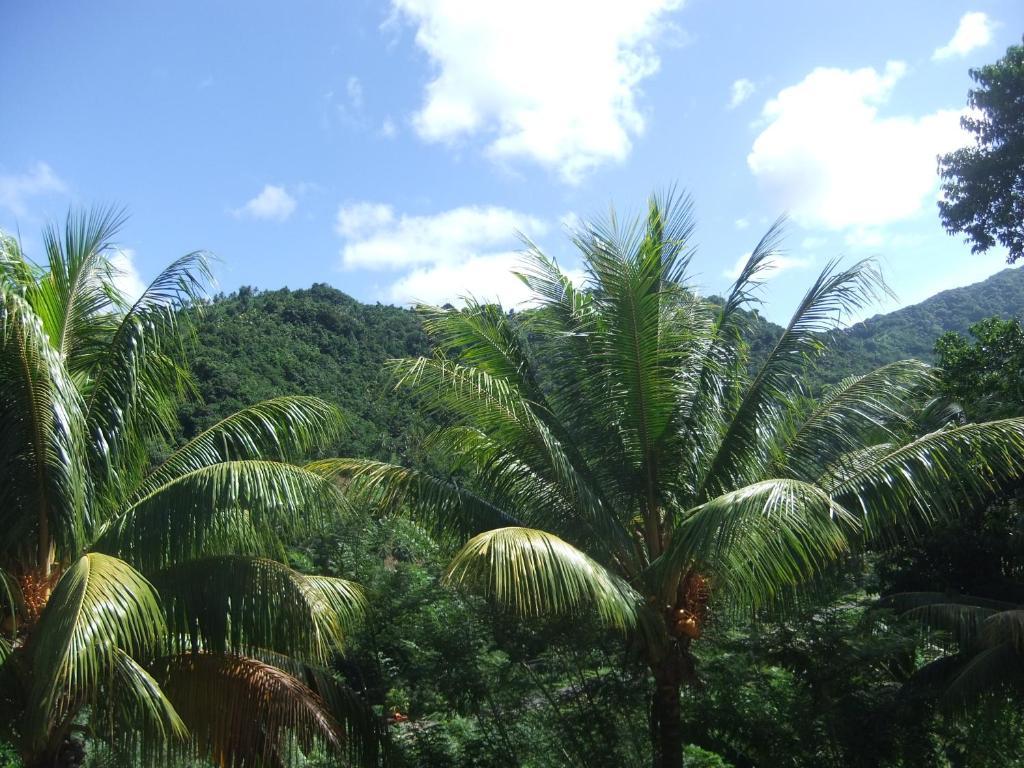 Serenity Lodges Dominica Marigot Quarto foto